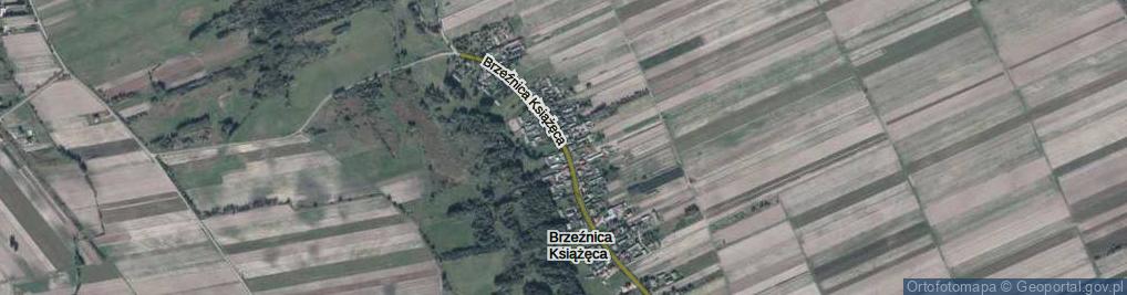 Zdjęcie satelitarne Brzeźnica Książęca ul.